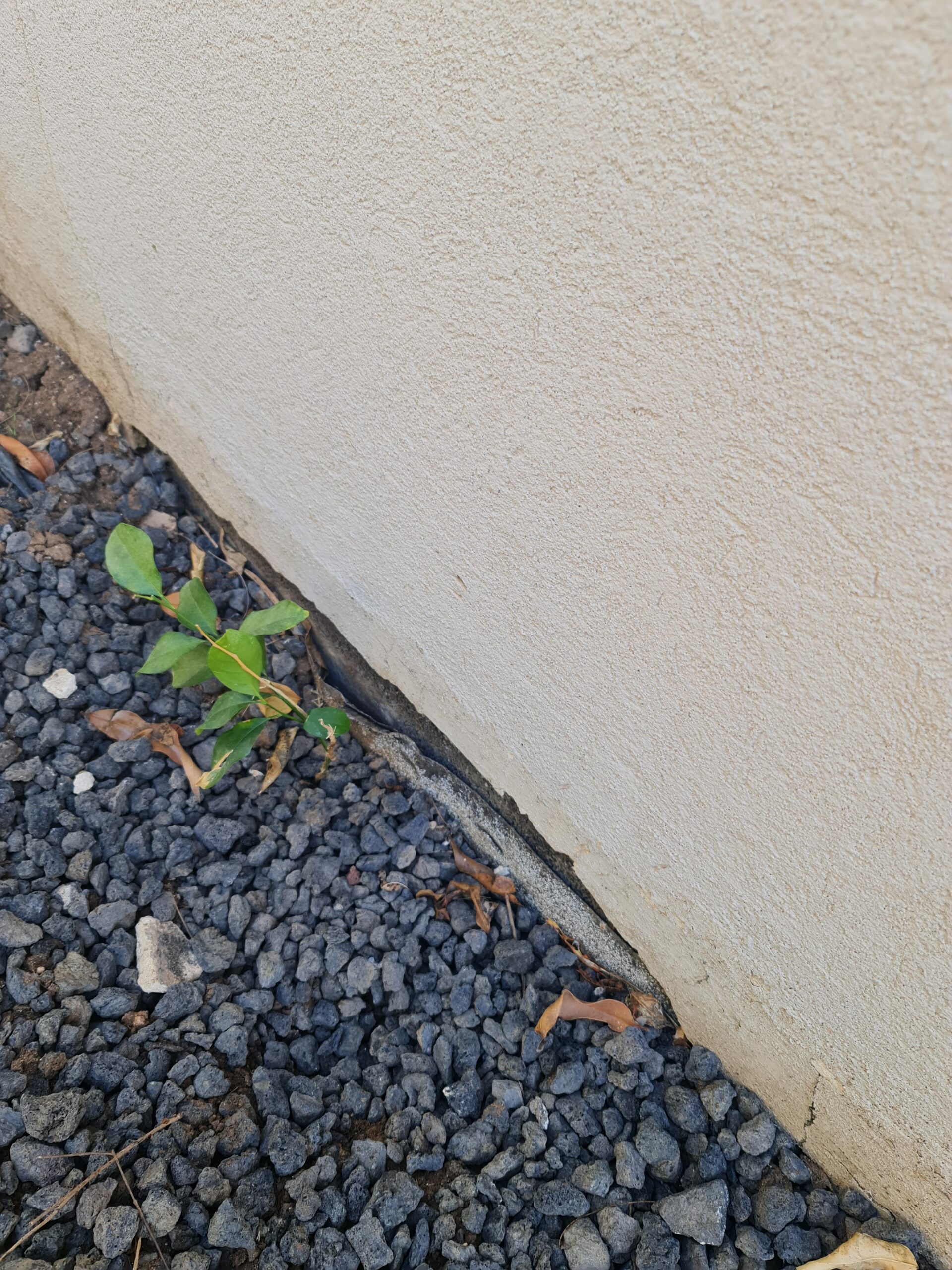 נתק ביריעה scaled - Winkler נתק ביריעה scaled photo - Winkler