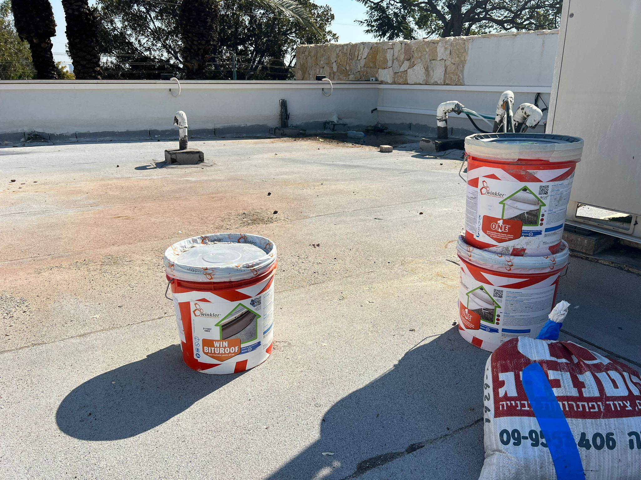 שרון תורגמן photo - Winkler
