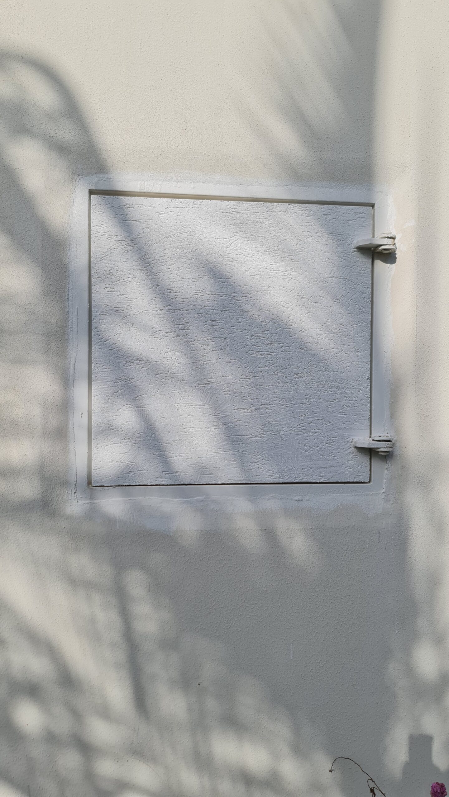 8 scaled photo - Winkler