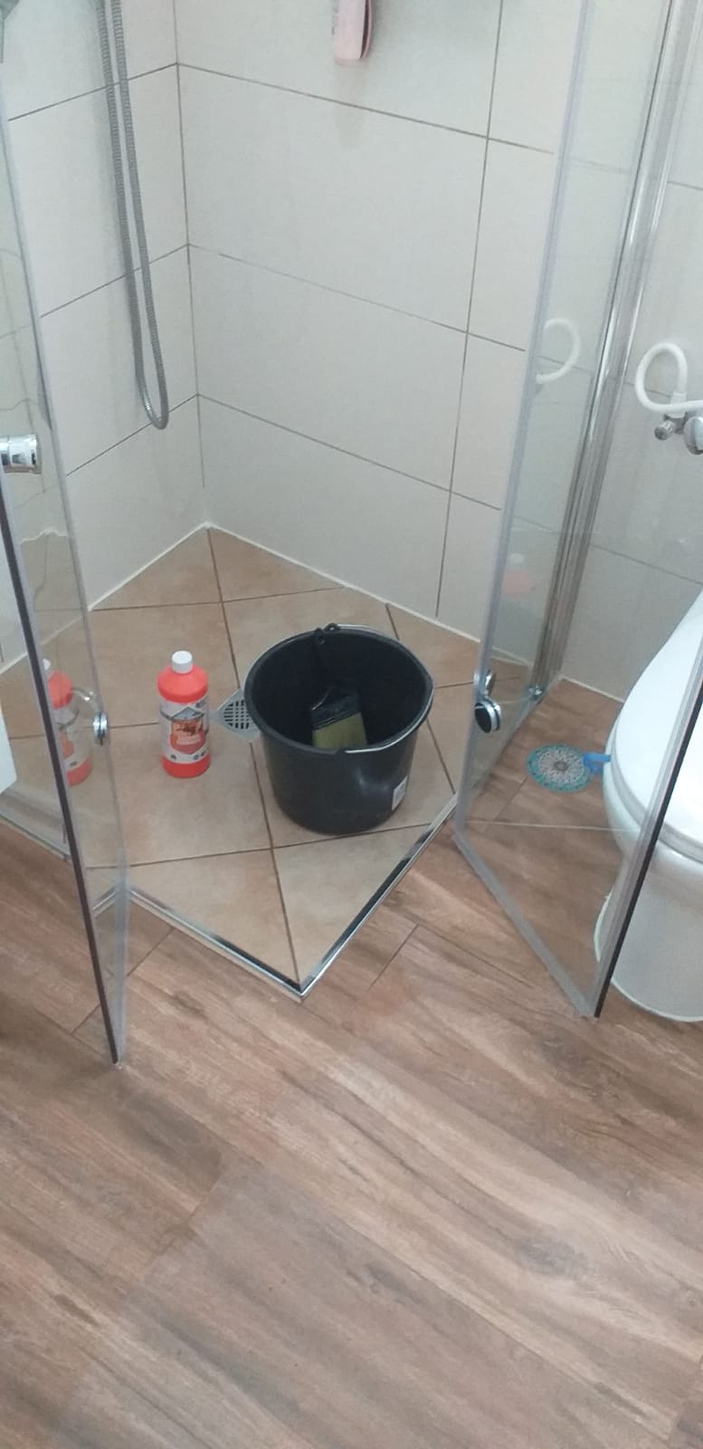 ‏‏IMG 20190227 WA0005 1 עותק photo - Winkler