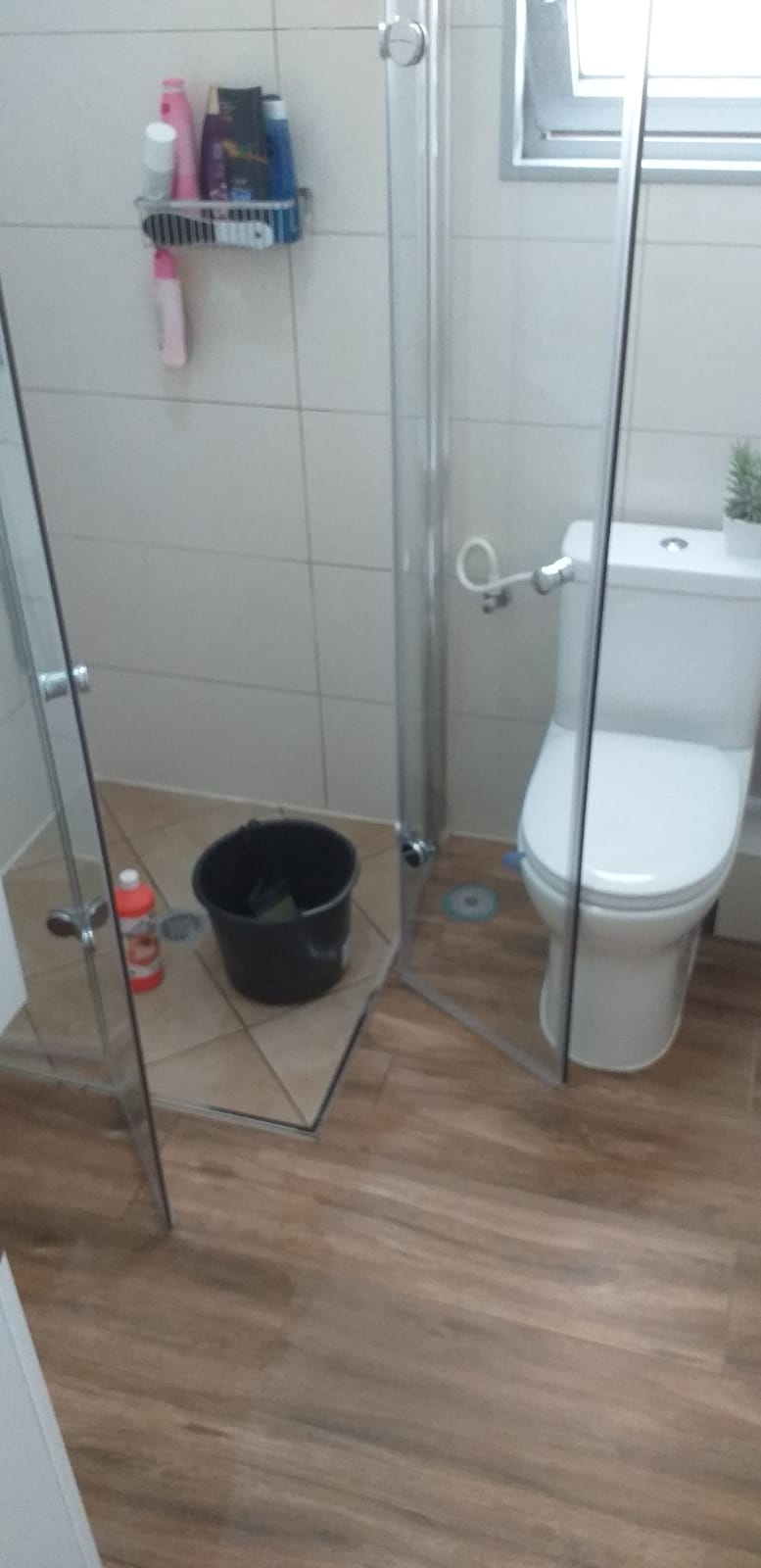 ‏‏IMG 20190227 WA0006 1 עותק photo - Winkler